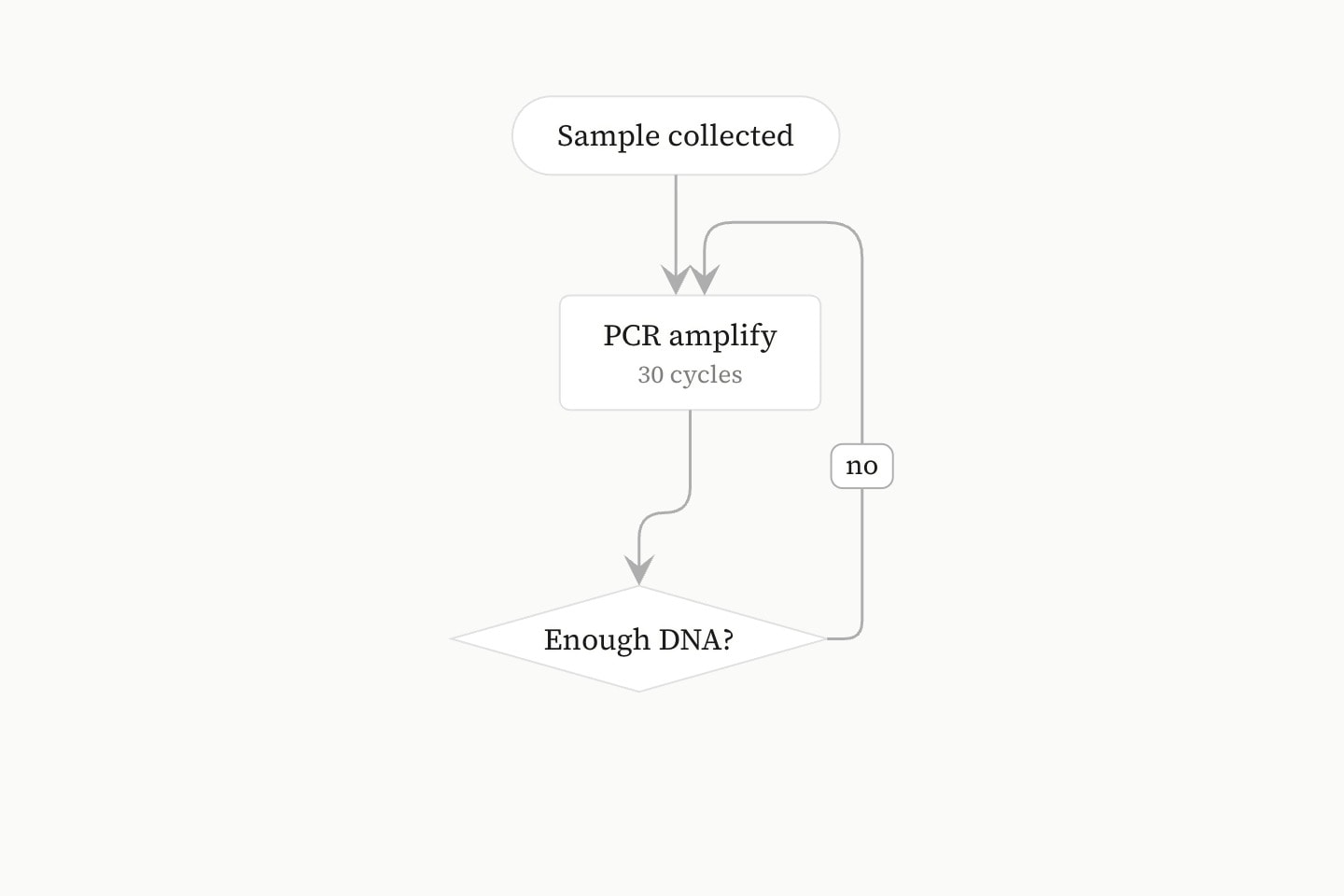 A flowchart running down from Sample collected to PCR amplify, 30 cycles, to the decision Enough DNA?, with an arrow labelled no looping back to PCR.
