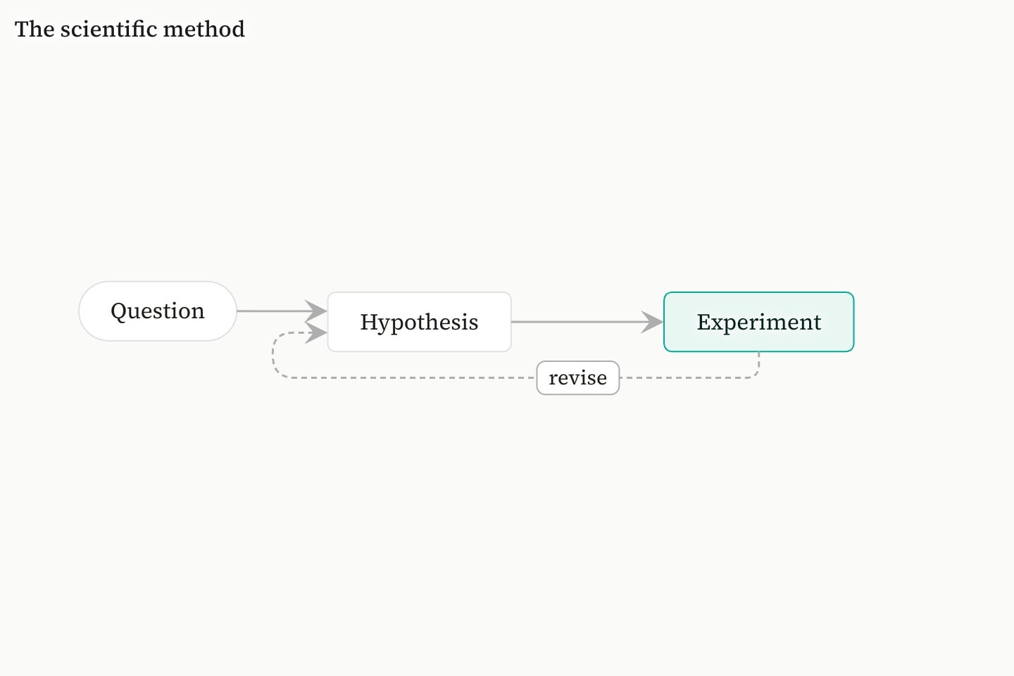 A titled flowchart running left to right from Question to Hypothesis to Experiment, the experiment box teal, with a dashed arrow labelled revise running back to Hypothesis.