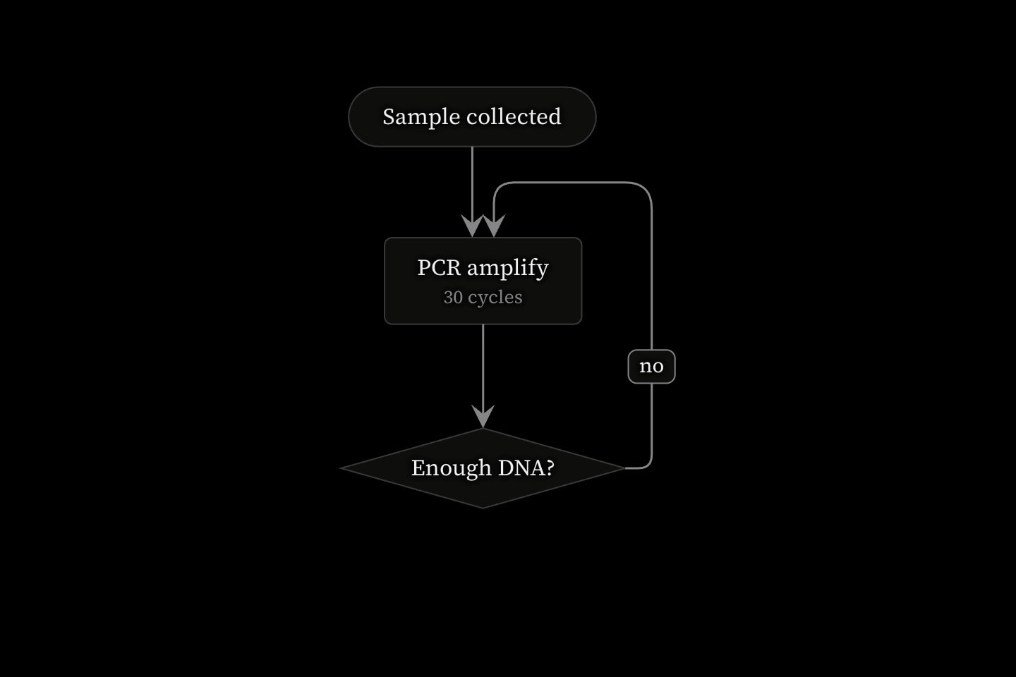 A flowchart running down from Sample collected to PCR amplify, 30 cycles, to the decision Enough DNA?, with an arrow labelled no looping back to PCR.