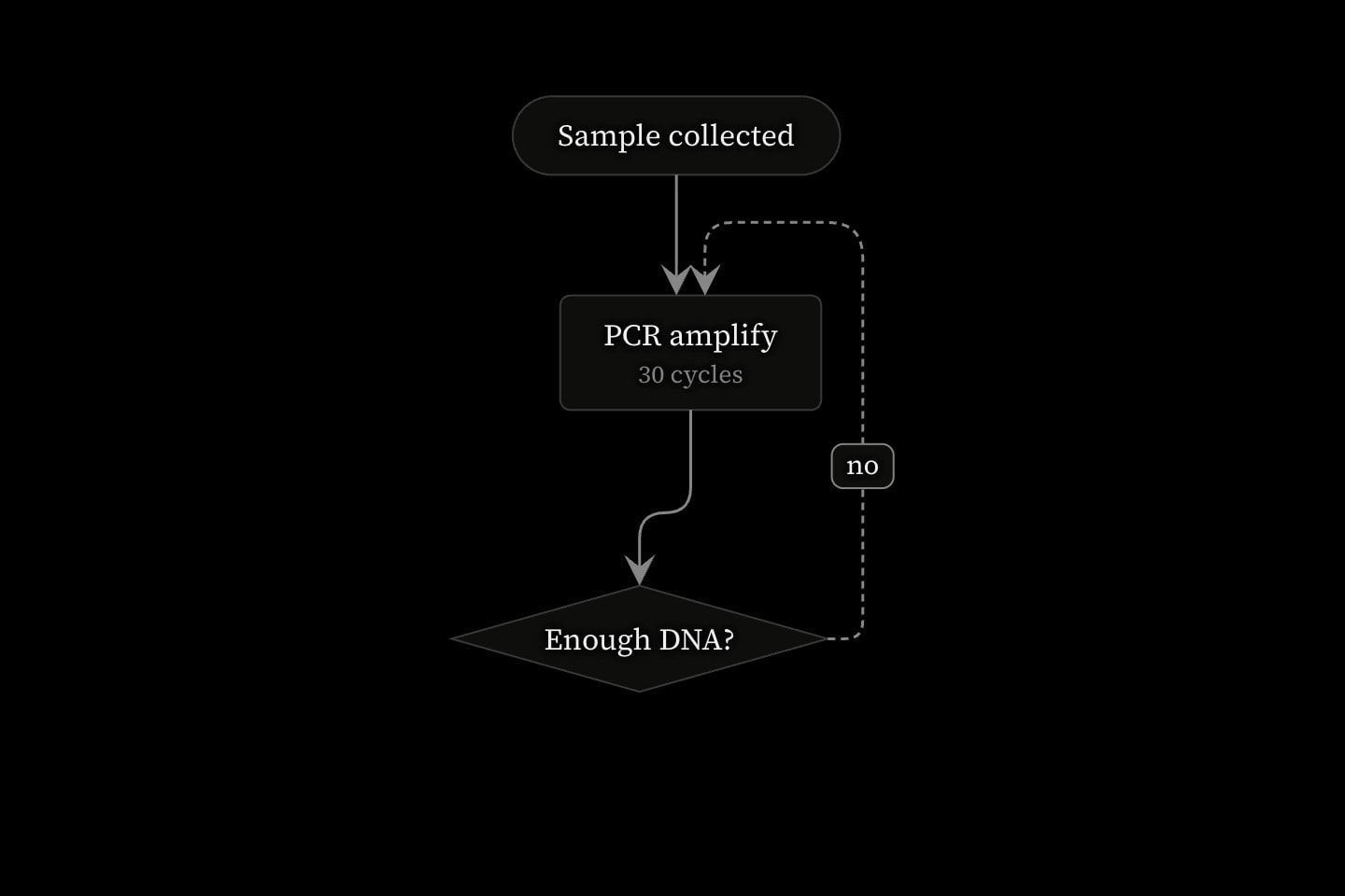 A flowchart running downwards from Sample collected to PCR amplify, 30 cycles, to the decision Enough DNA?, with a dashed arrow labelled no back to PCR.