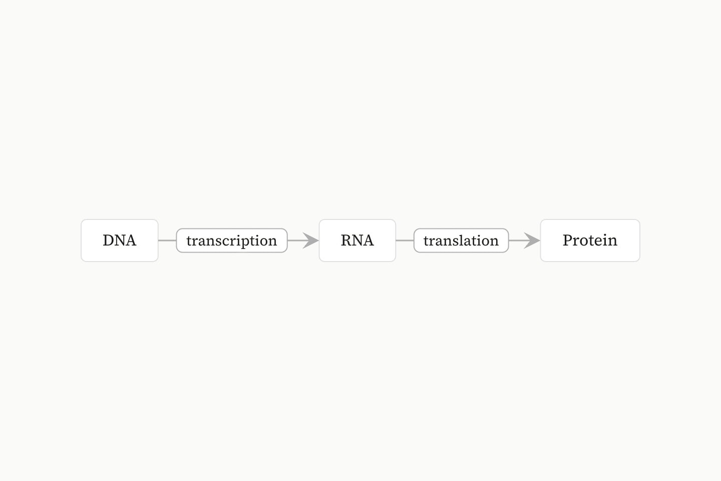 Three boxes, DNA, RNA and Protein, joined left to right by arrows labelled transcription and translation.