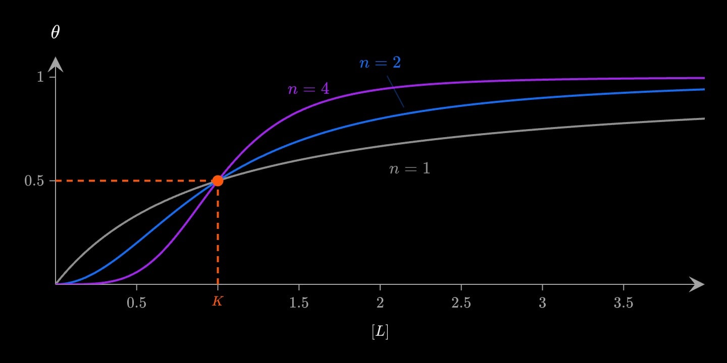 Three Hill curves of fraction bound against ligand concentration, all half saturated at K = 1: grey n = 1 a hyperbola, blue n = 2 and purple n = 4 increasingly steep sigmoids, the shared point dropped to both axes in orange.