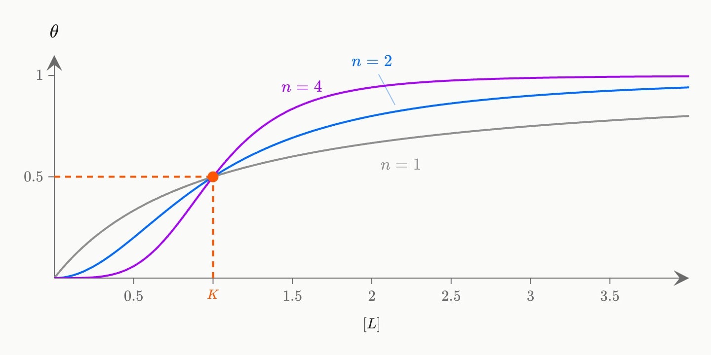 Three Hill curves of fraction bound against ligand concentration, all half saturated at K = 1: grey n = 1 a hyperbola, blue n = 2 and purple n = 4 increasingly steep sigmoids, the shared point dropped to both axes in orange.