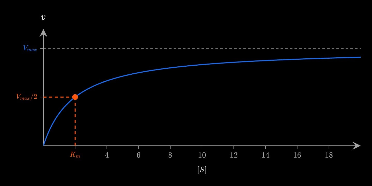 A blue Michaelis–Menten curve rising towards a dashed line at Vmax = 10, with an orange point at Km = 2 where the rate is 5, dropped by dashed lines to both axes.