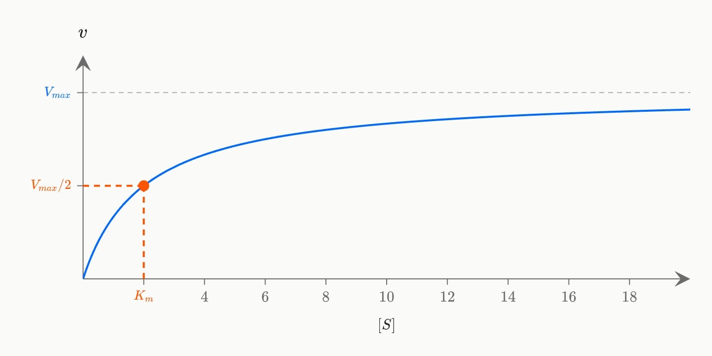 A blue Michaelis–Menten curve rising towards a dashed line at Vmax = 10, with an orange point at Km = 2 where the rate is 5, dropped by dashed lines to both axes.