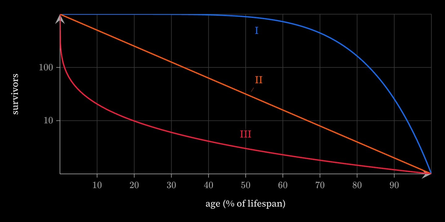 Three survivorship curves on a log axis from 1000 survivors down to 1: blue type I staying high until old age then plunging, orange type II a straight decline, and red type III falling steeply in youth.