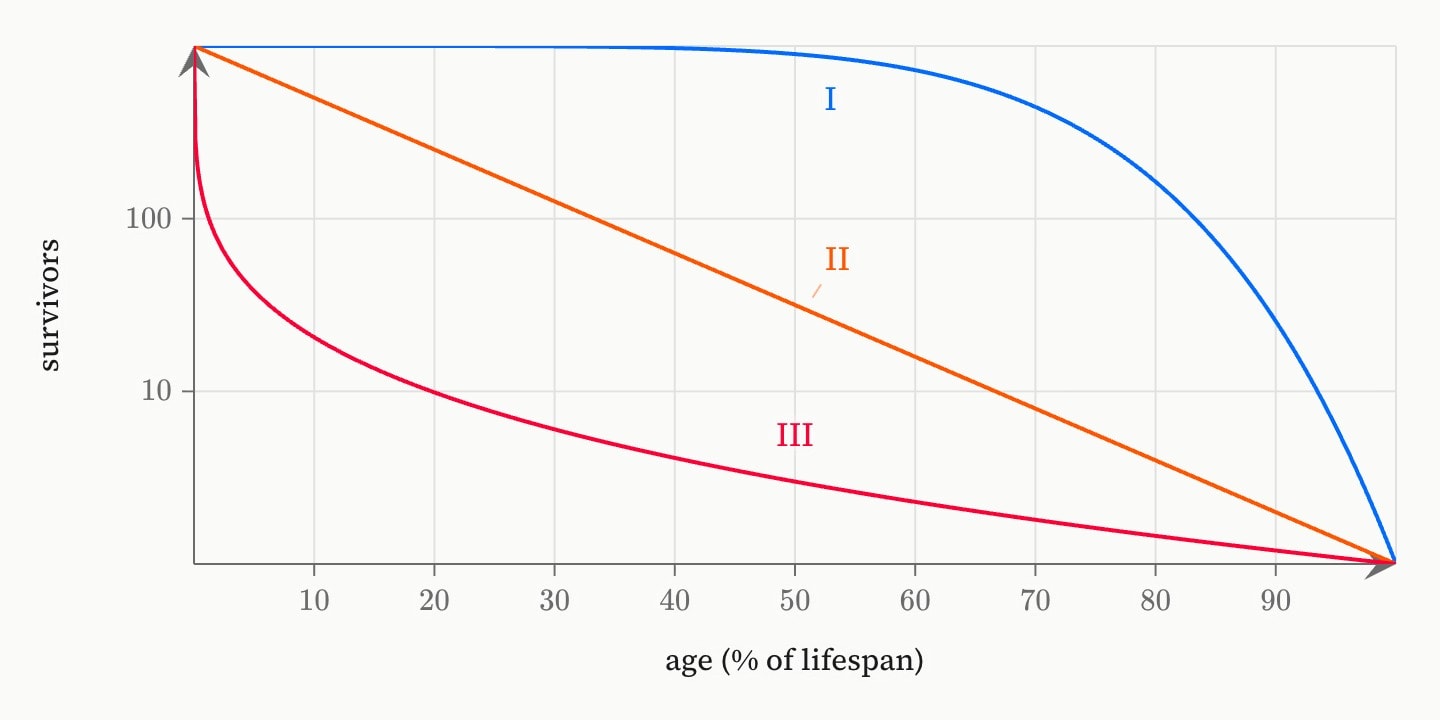 Three survivorship curves on a log axis from 1000 survivors down to 1: blue type I staying high until old age then plunging, orange type II a straight decline, and red type III falling steeply in youth.