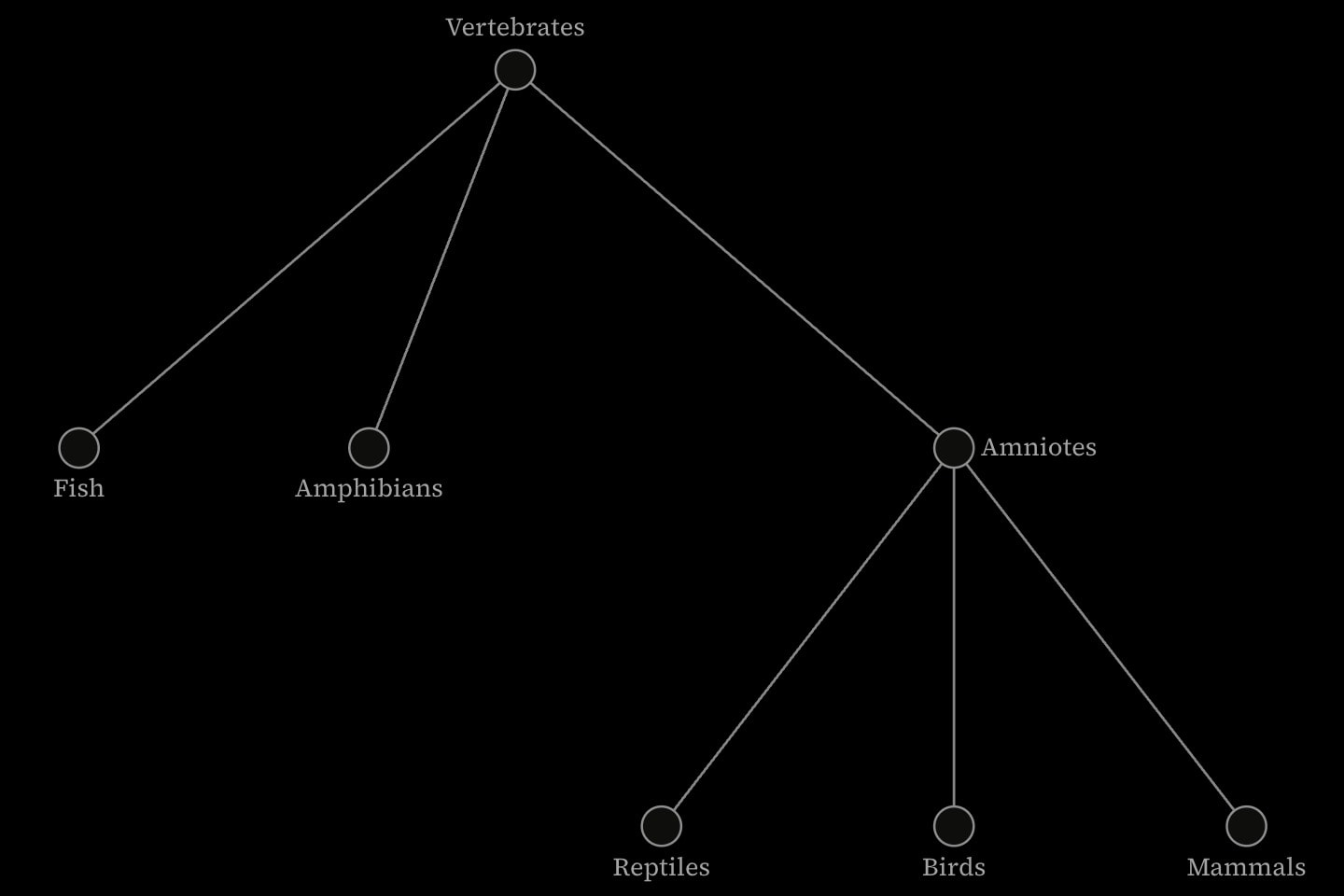 A tree hung from Vertebrates, branching to Fish, Amphibians and Amniotes, with Amniotes branching to Reptiles, Birds and Mammals.