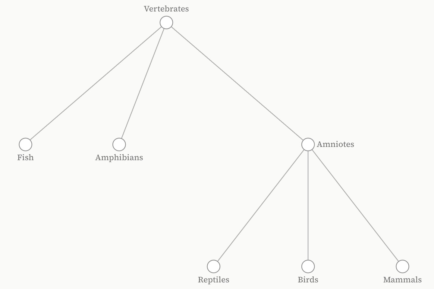 A tree hung from Vertebrates, branching to Fish, Amphibians and Amniotes, with Amniotes branching to Reptiles, Birds and Mammals.